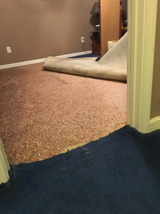 Carpet pad removal revealing water damage during Drying & Dehumidification in Port Charlotte