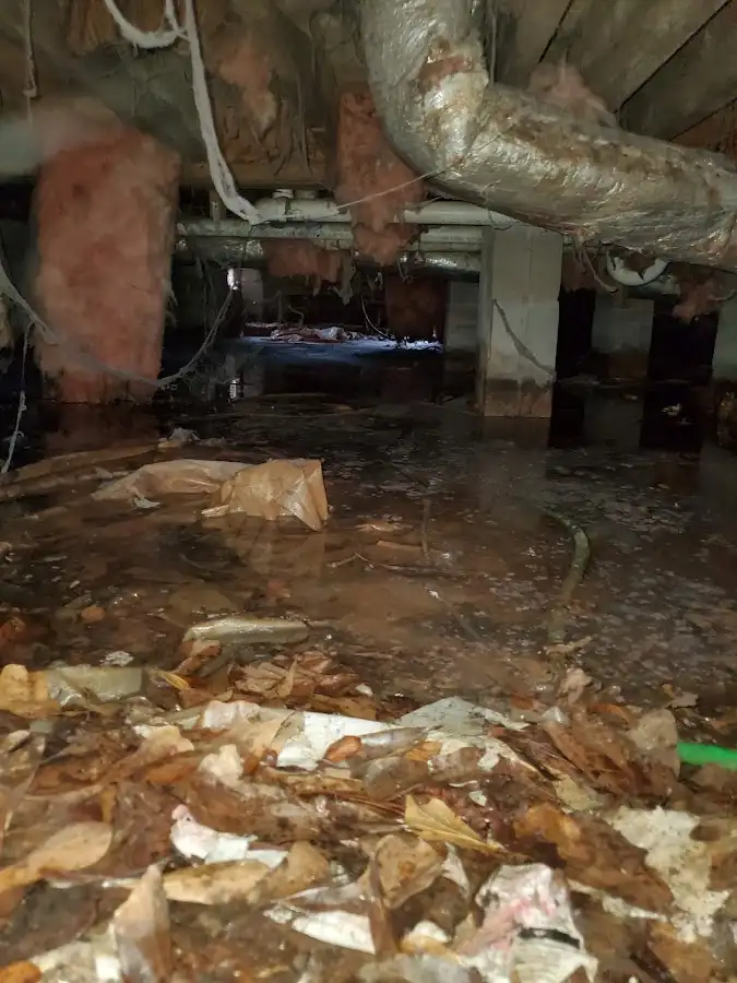 Crawl space flood assessment for Commercial Water Damage Restoration in Port Charlotte